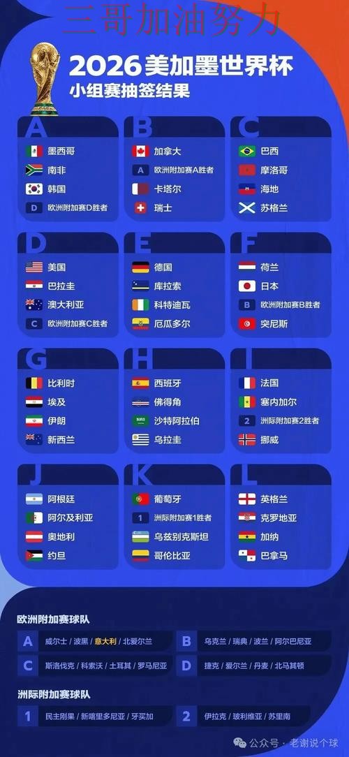 世界杯赛事中心背景下的世界杯投注平台合集揭秘与实时直播直播解析